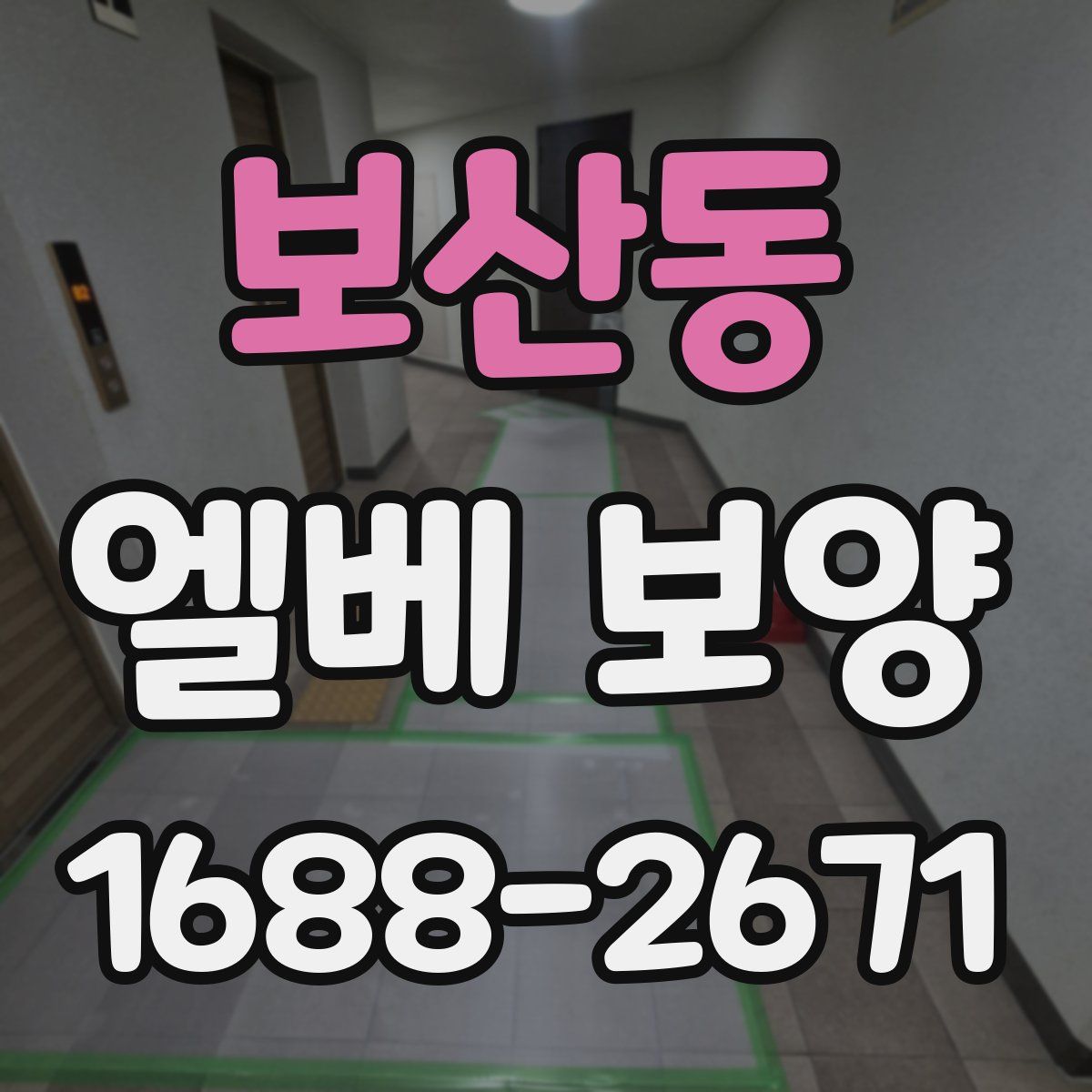 보산동 엘베 보양