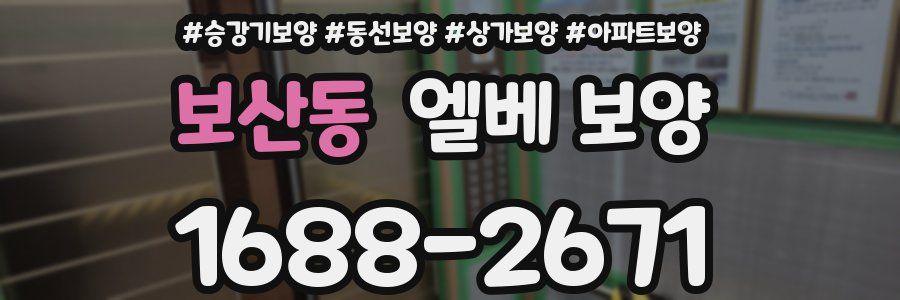 보산동 엘베 보양