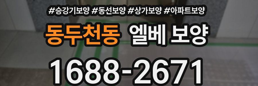 동두천동 엘베 보양
