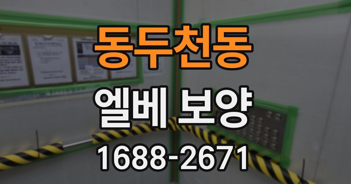 동두천동 엘베 보양