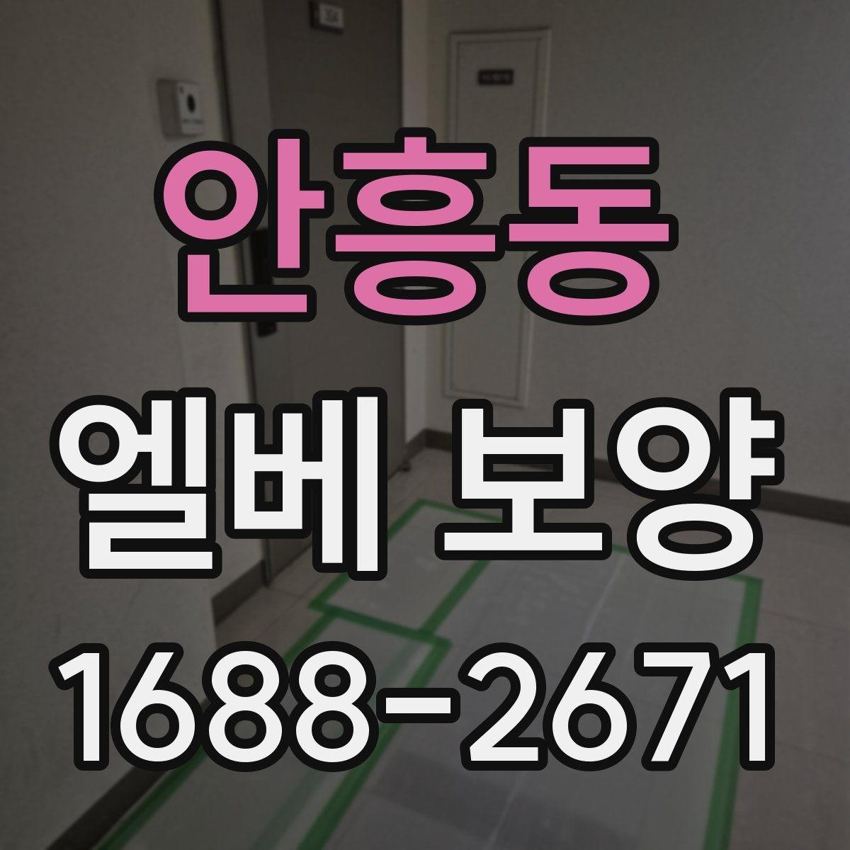안흥동 엘베 보양 보행자 왕래가 많은 아파트 관리 요령