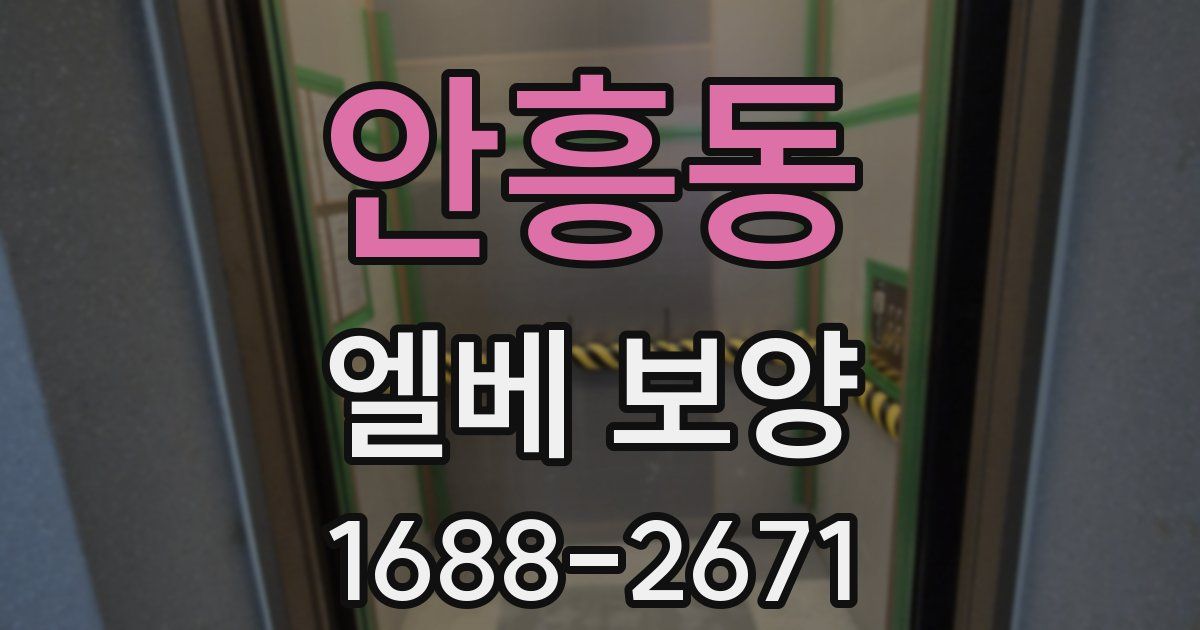 안흥동 엘베 보양