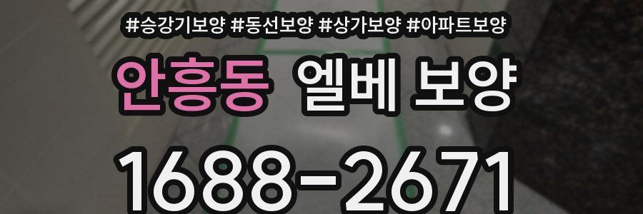 안흥동 엘베 보양