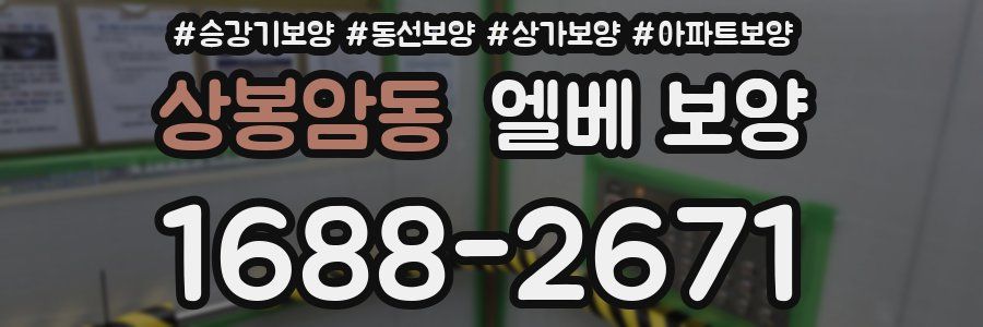 상봉암동 엘베 보양