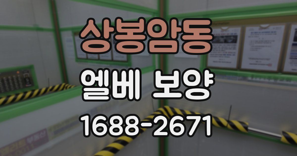 상봉암동 엘베 보양
