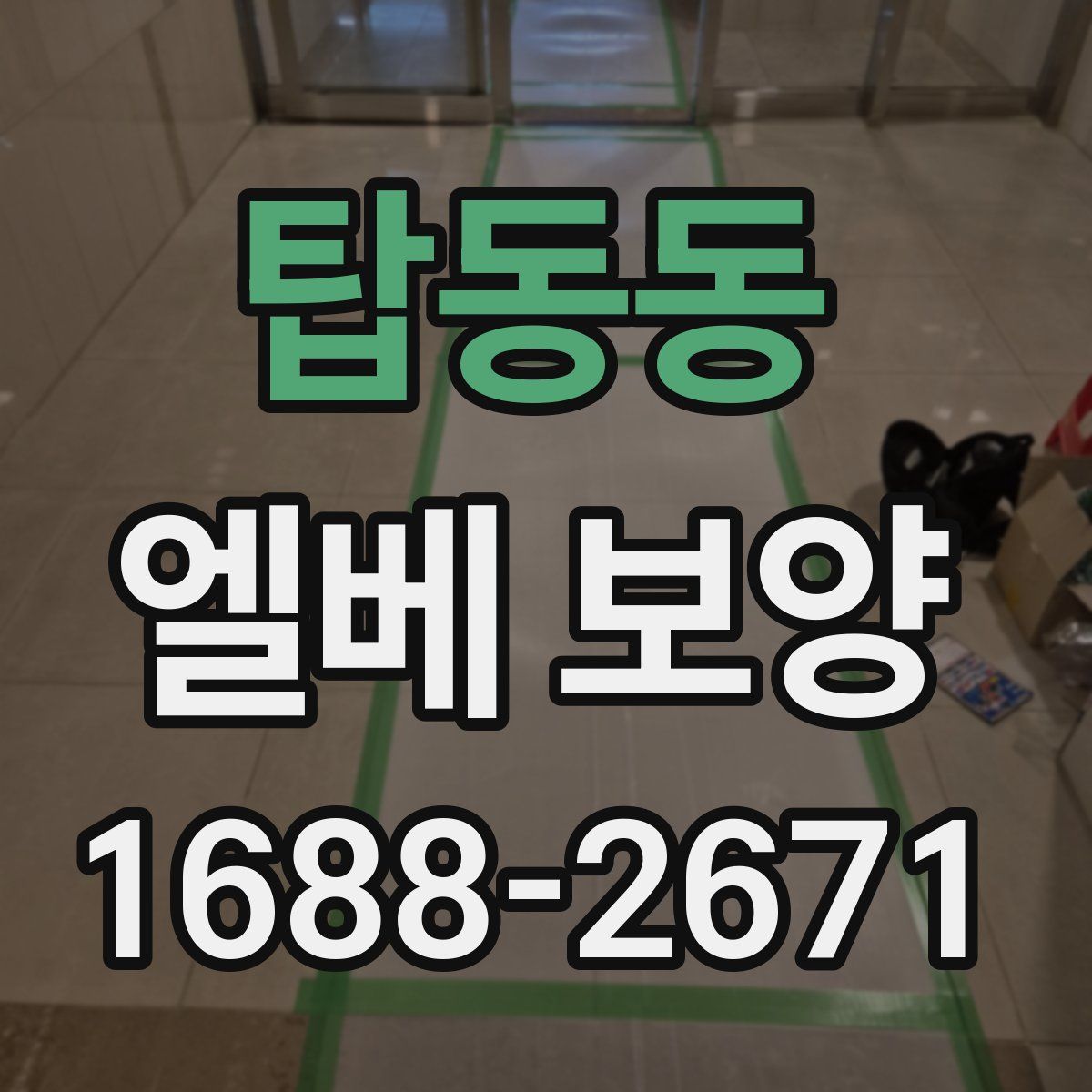 탑동동 엘베 보양
