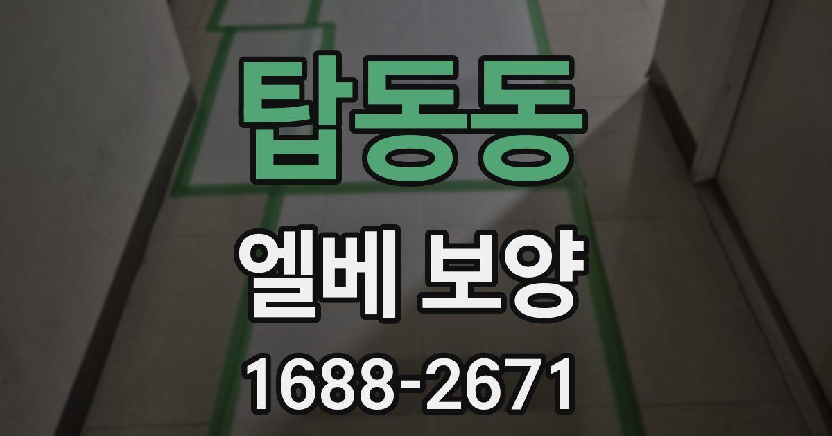 탑동동 엘베 보양