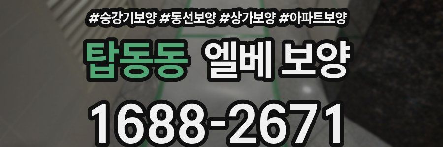 탑동동 엘베 보양