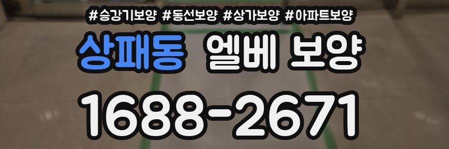 상패동 엘베 보양