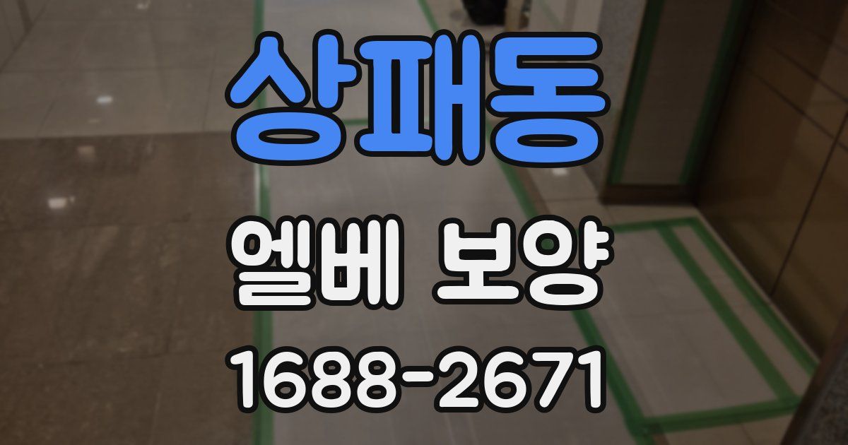 상패동 엘베 보양