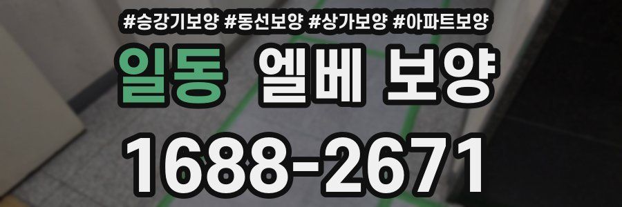 일동 엘베 보양