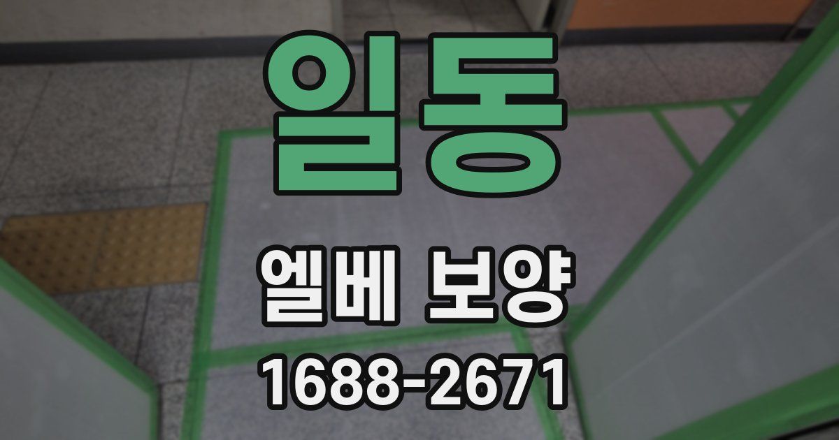 일동 엘베 보양