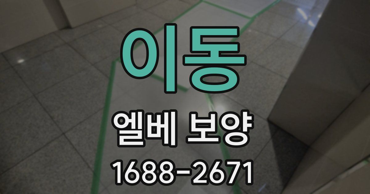이동 엘베 보양