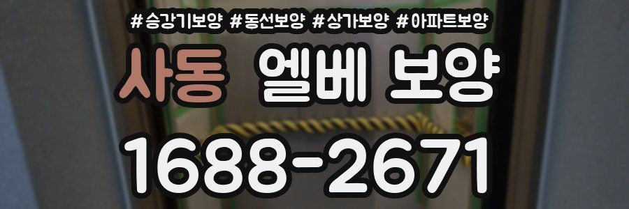 사동 엘베 보양