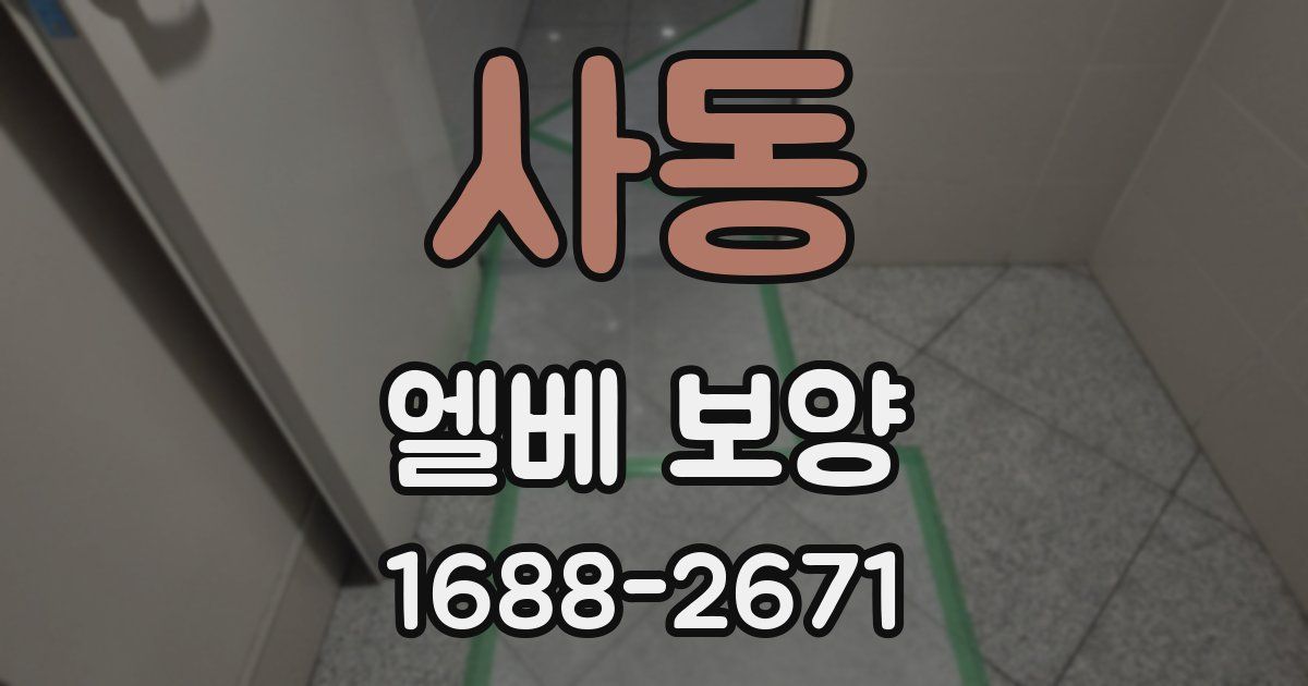 사동 엘베 보양