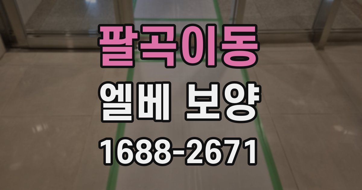 팔곡이동 엘베 보양