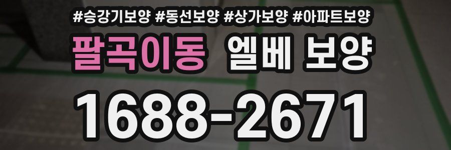 팔곡이동 엘베 보양