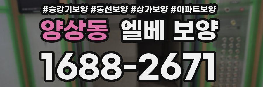 양상동 엘베 보양