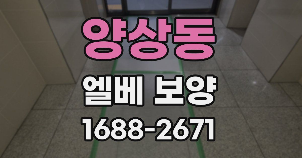 양상동 엘베 보양