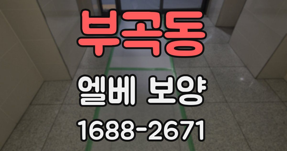 부곡동 엘베 보양