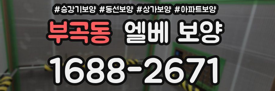 부곡동 엘베 보양