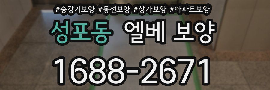 성포동 엘베 보양