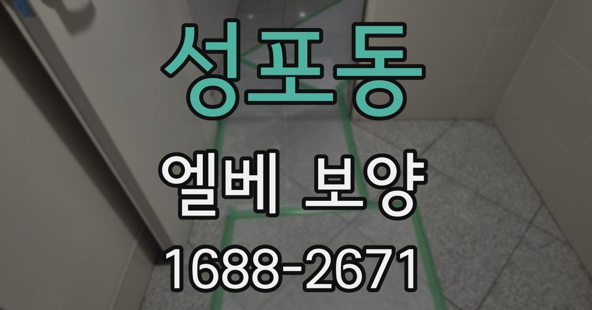 성포동 엘베 보양