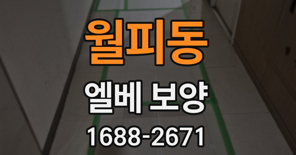 월피동 엘베 보양