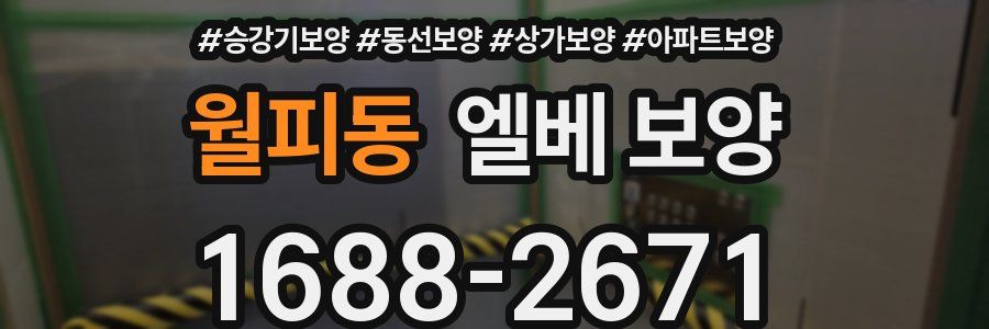 월피동 엘베 보양