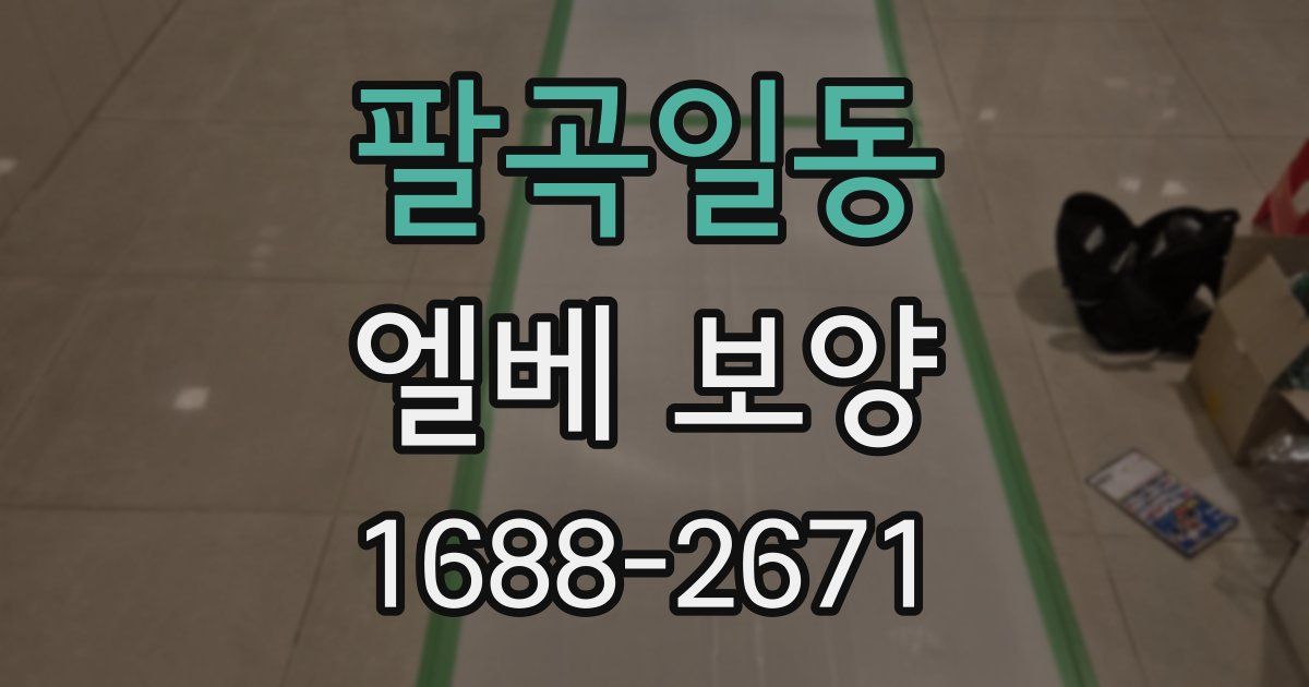 팔곡일동 엘베 보양