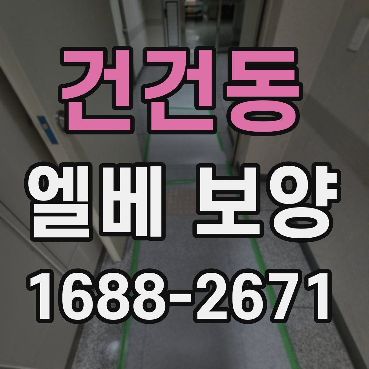 건건동 엘베 보양 보행 동선이 복잡한 아파트에서 챙길 점