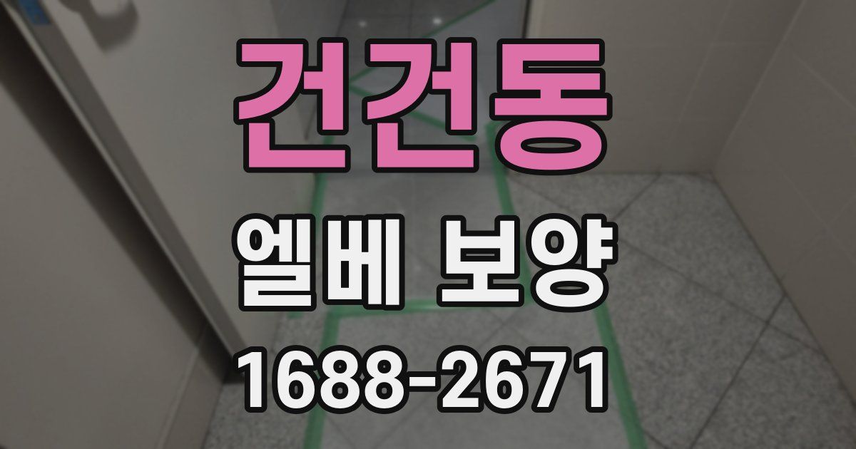 건건동 엘베 보양
