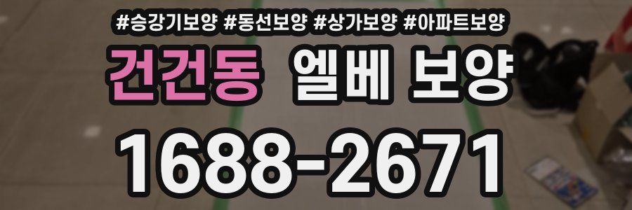 건건동 엘베 보양