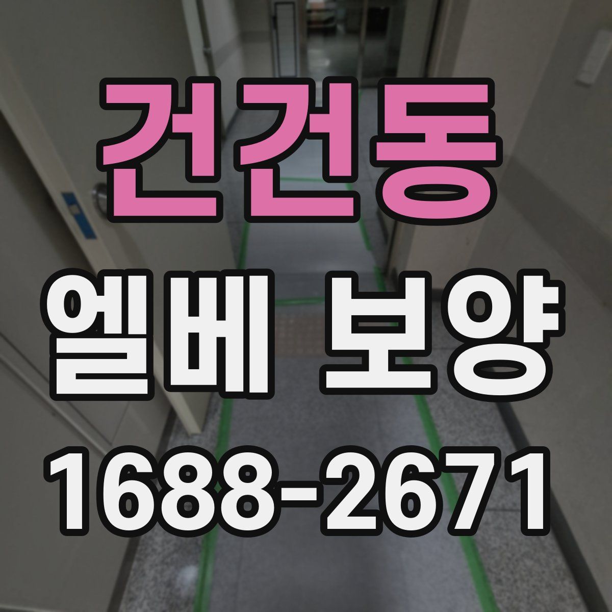 건건동 엘베 보양