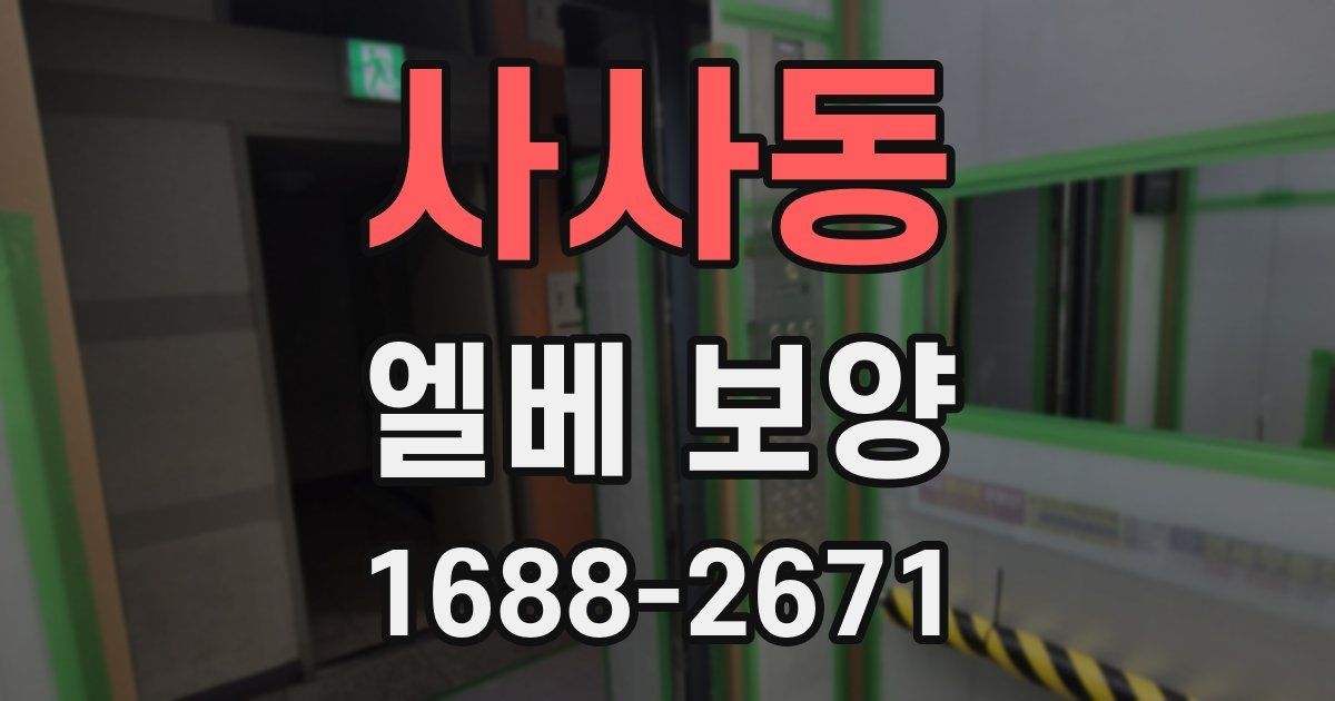 사사동 엘베 보양