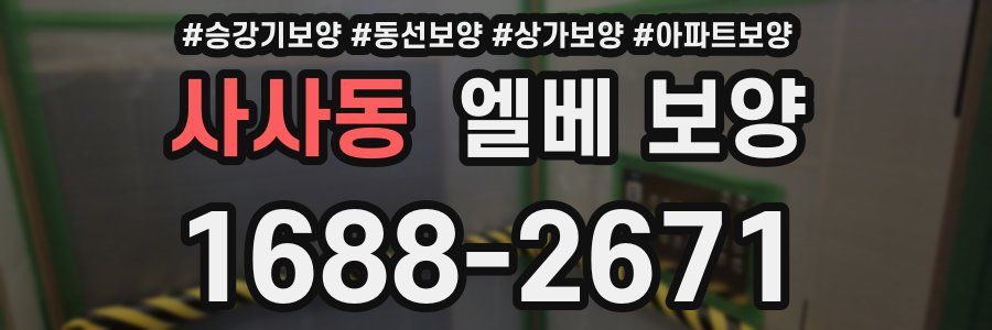사사동 엘베 보양