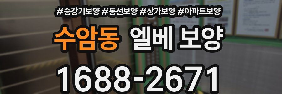 수암동 엘베 보양