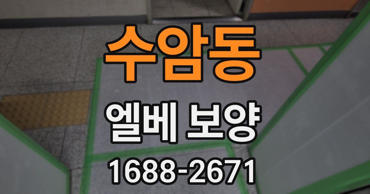 수암동 엘베 보양