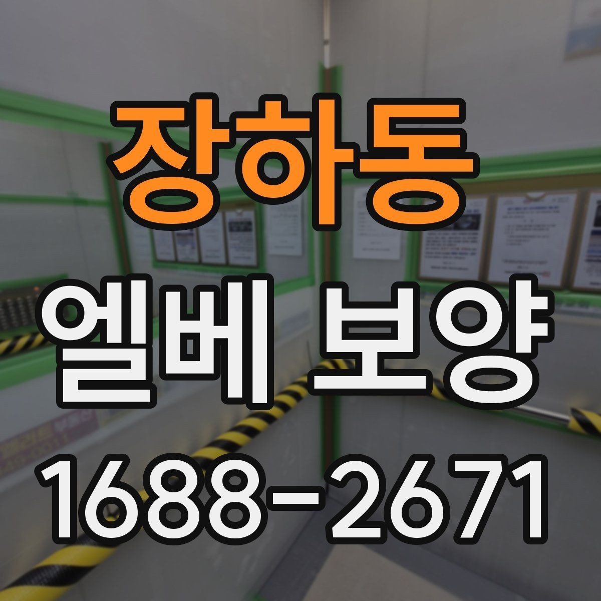 장하동 엘베 보양 마감재에 따라 달라지는 재질 고르기