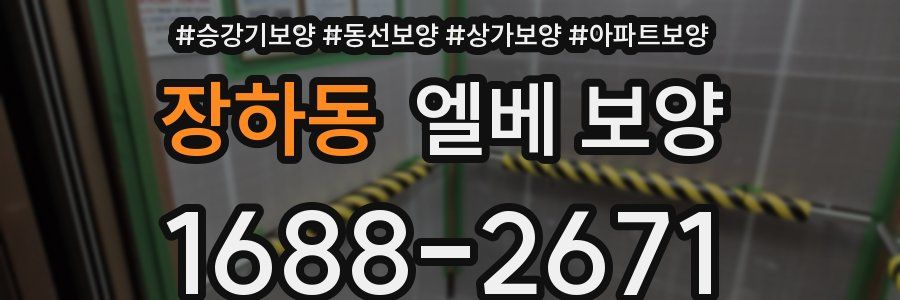 장하동 엘베 보양