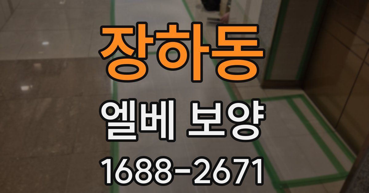 장하동 엘베 보양