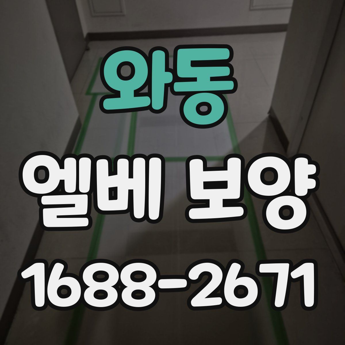 와동 엘베 보양