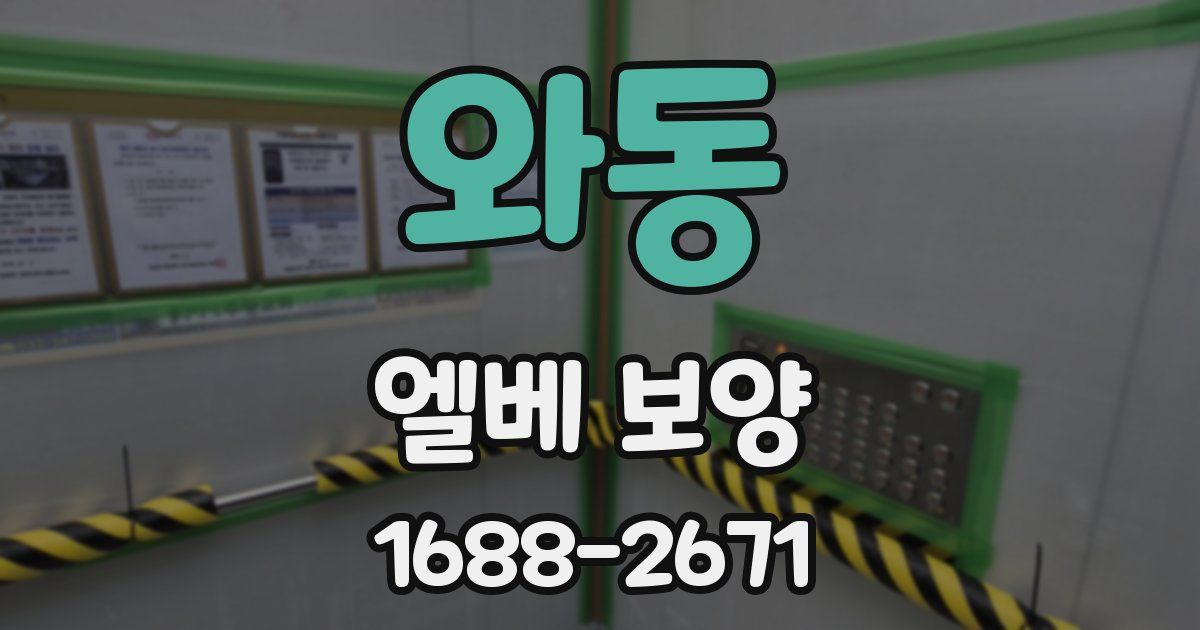 와동 엘베 보양