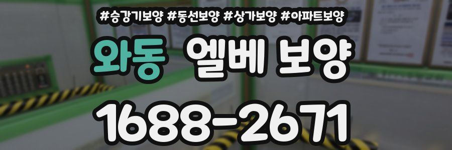 와동 엘베 보양