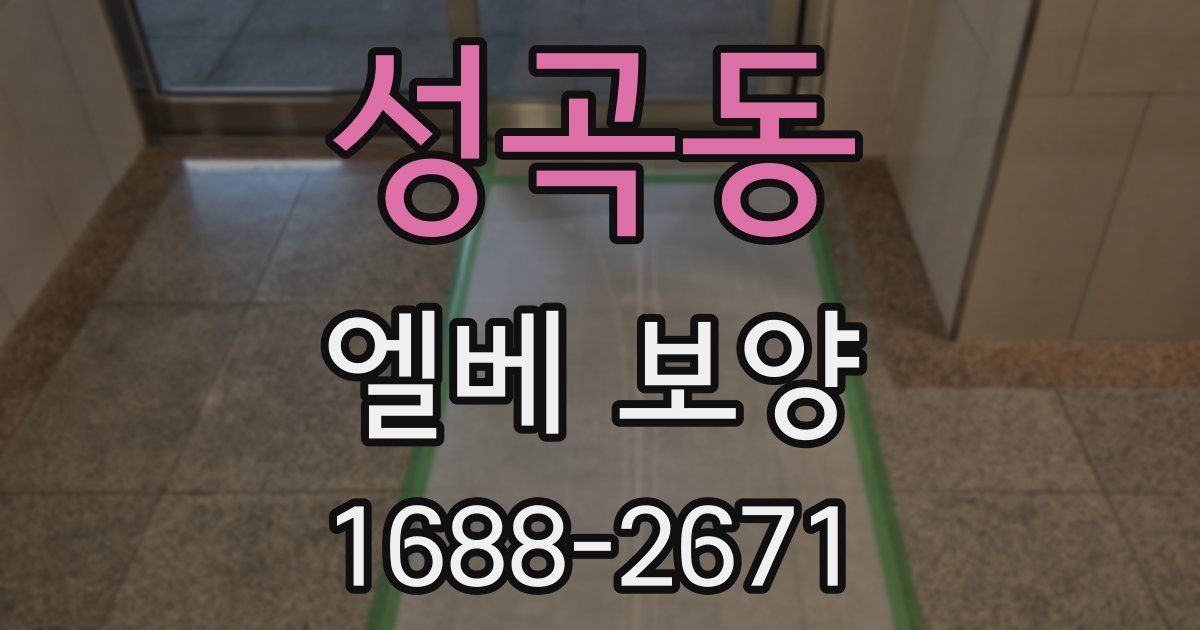 성곡동 엘베 보양