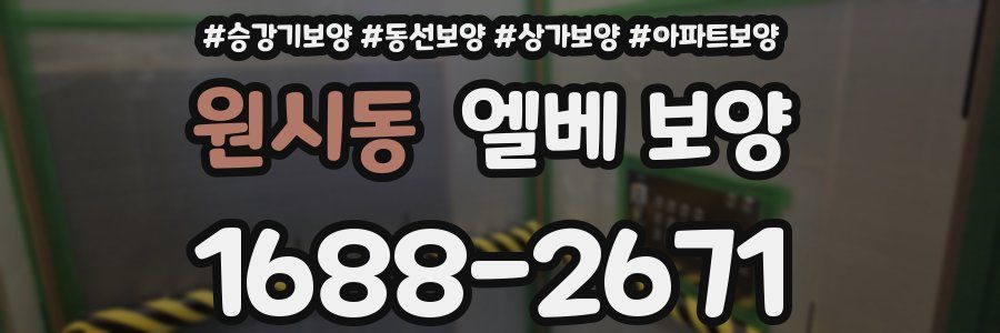 원시동 엘베 보양