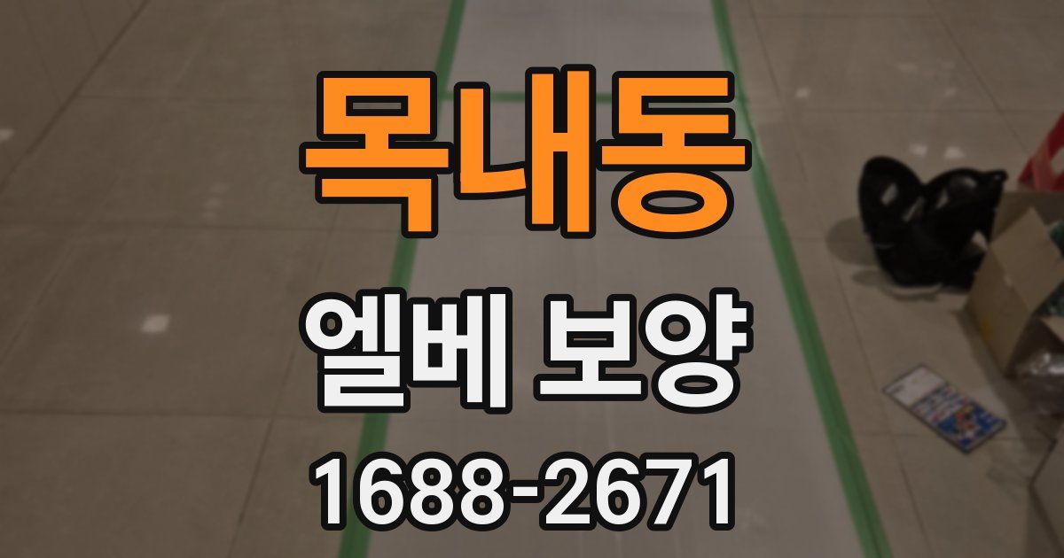 목내동 엘베 보양