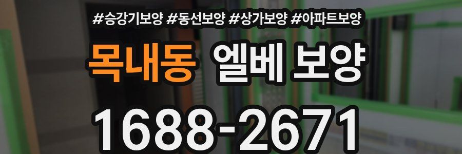목내동 엘베 보양