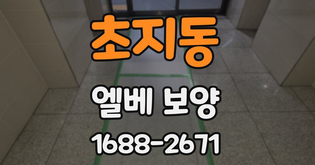 초지동 엘베 보양