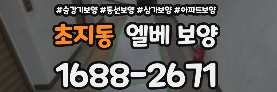 초지동 엘베 보양